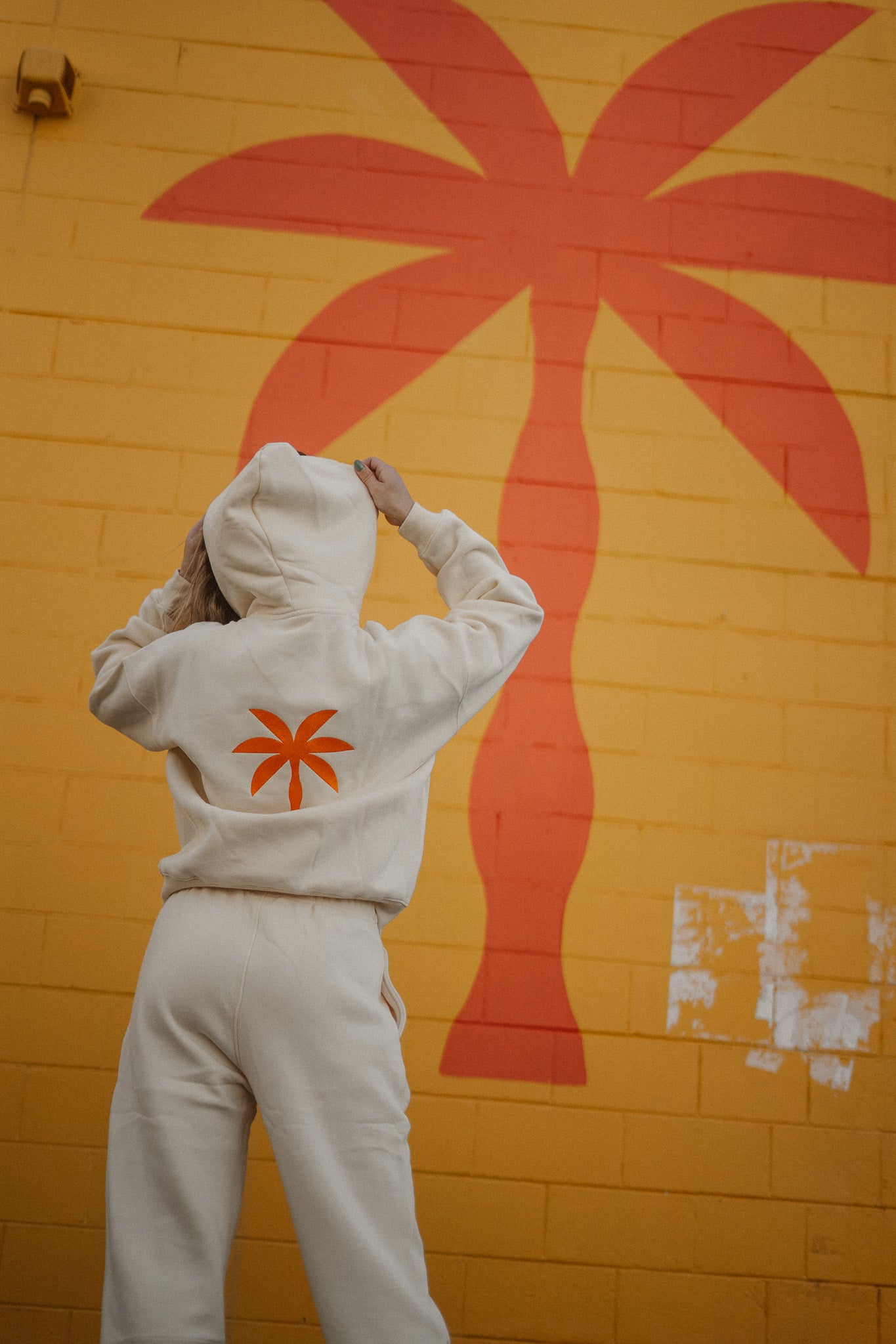 Track Suit Set